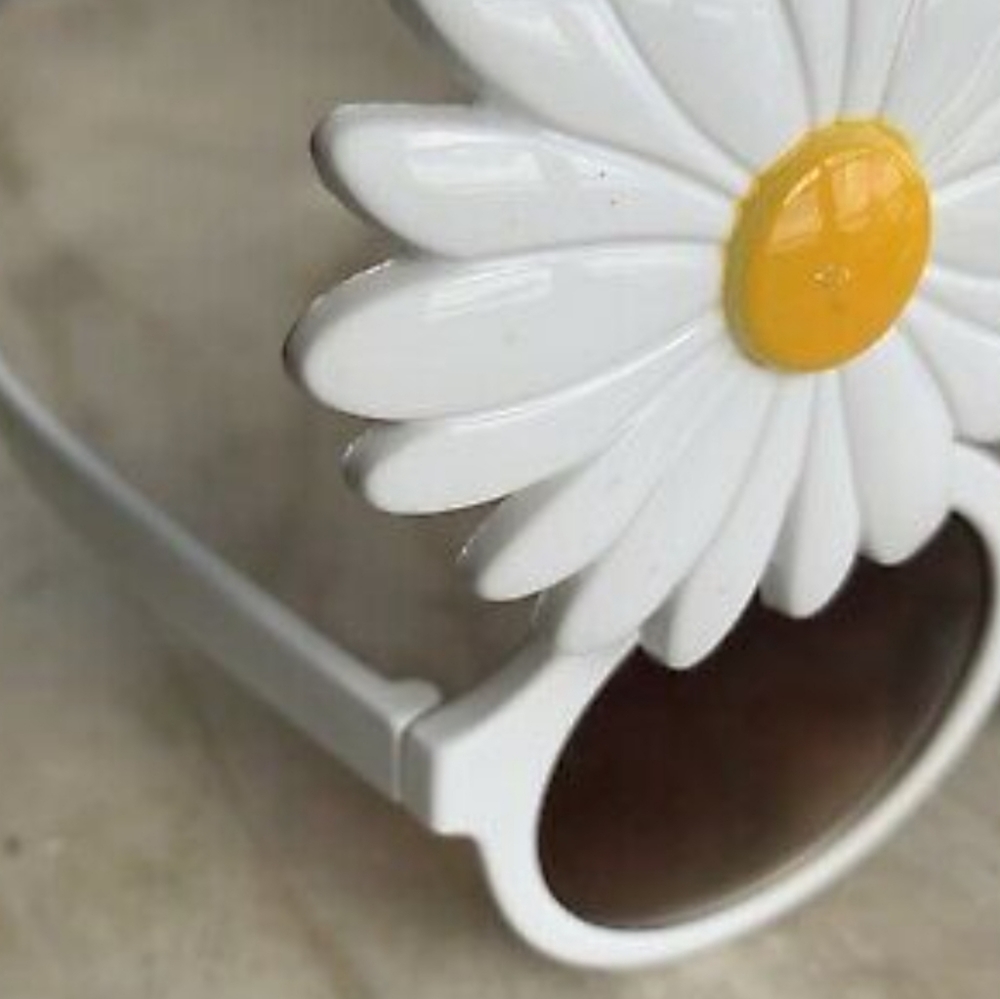 Daisy Sunglasses Circus By Sam ๐ฅณ NWT ๐ SCRATCH FREE - Picture 4 of 13